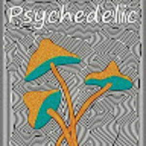 Meet your Posher, Korie